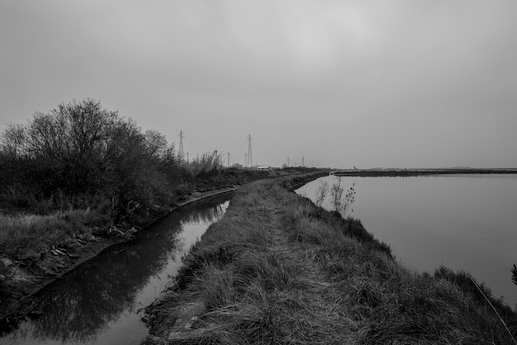 Cervia