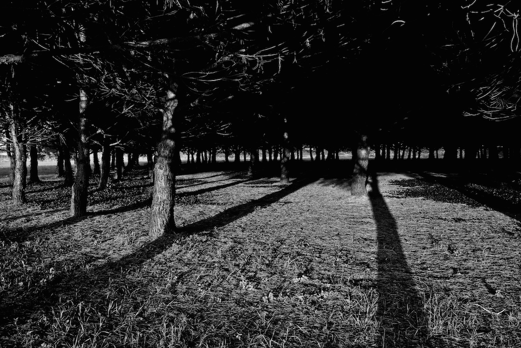 Il respiro lungo
