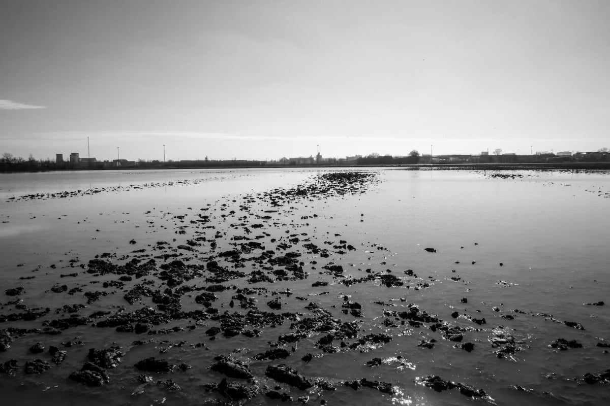Ravenna