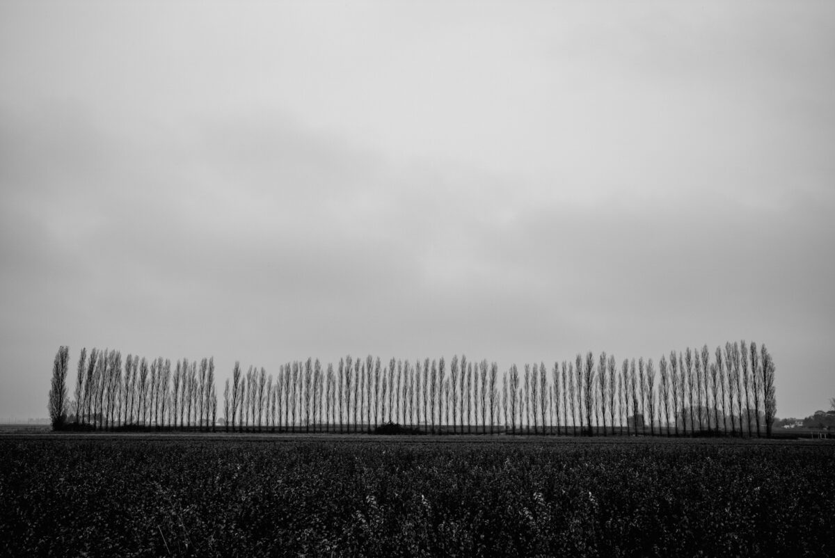 Lido delle Nazioni