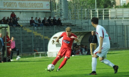 Ballardini Elia DCS 1233