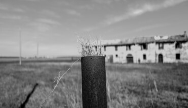 Contano I Particolari San Zaccaria 220317