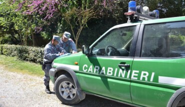 Guardia Forestale
