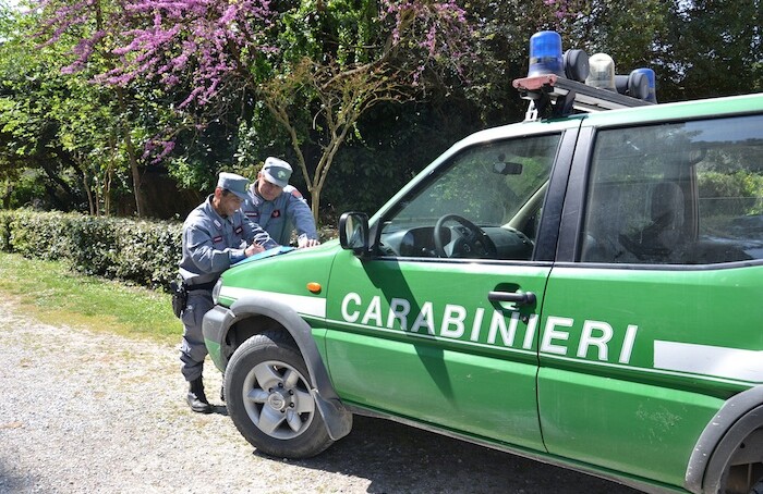 Guardia Forestale