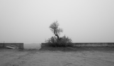Tutte le volte