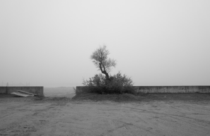Tutte le volte