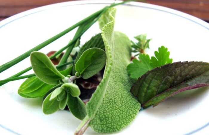 Erbe Aromatiche 017