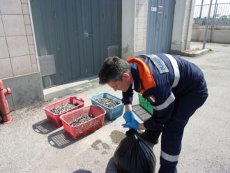 Sequestrati 55 chili di vongole al porto