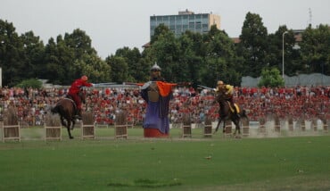 Palio Niballo