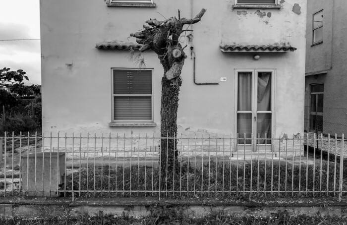 Si sente arrivare