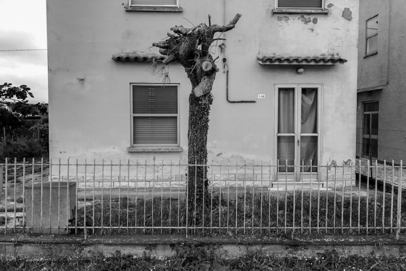 Si sente arrivare