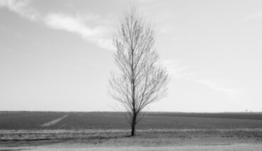 Quasi in silenzio