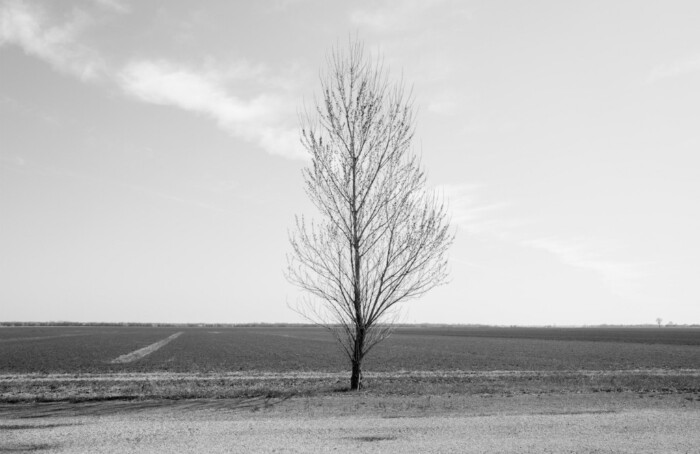Quasi in silenzio
