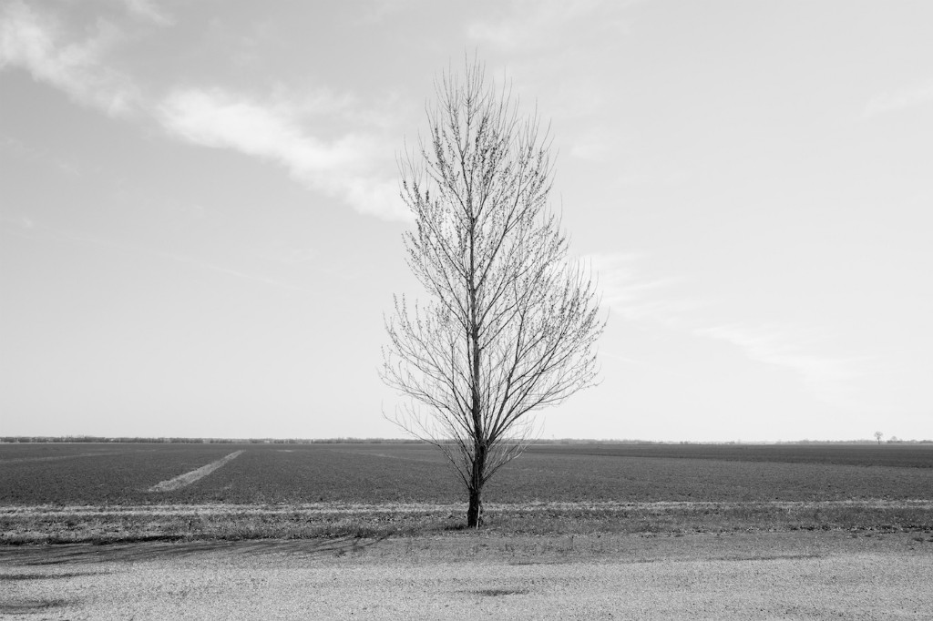 Quasi in silenzio