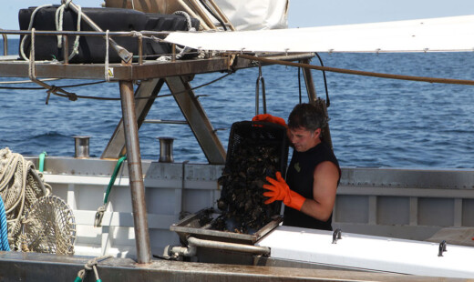 Cozze4