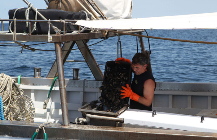 Cozze4