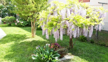 Giardino Di Barbara Cimatti