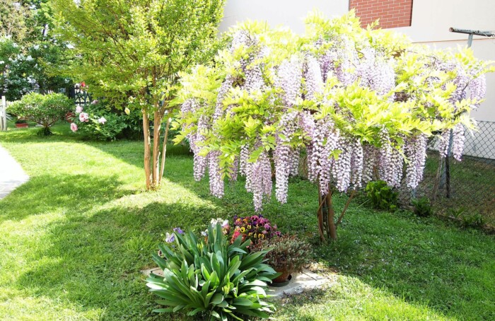 Giardino Di Barbara Cimatti