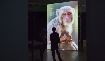 Museum Of Nonhumanity Installation View (detail) Photo Terike Haapoja