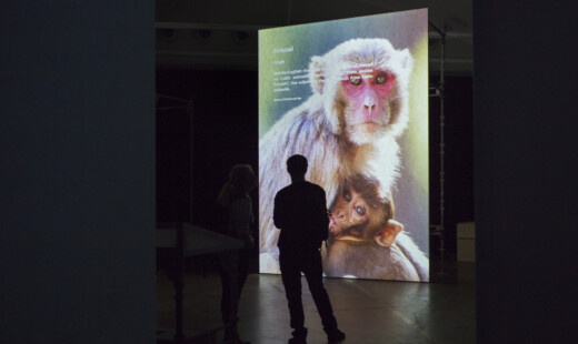 Museum Of Nonhumanity Installation View (detail) Photo Terike Haapoja