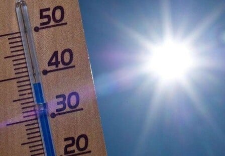 Caldo