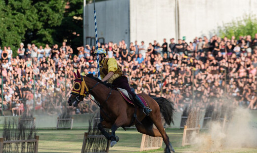 Cavalieri2 Morini2016