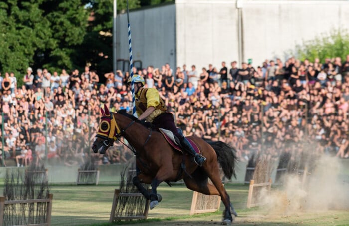 Cavalieri2 Morini2016
