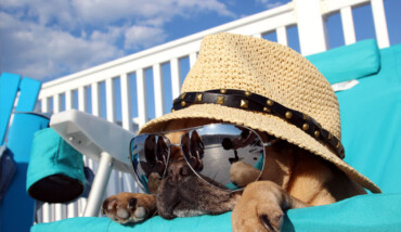 Consigli Per Difendersi Dal Caldo Estivo