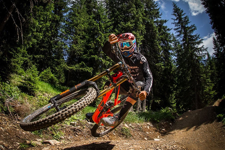 bicicletta bosco