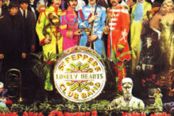 Sgt Pepper 1