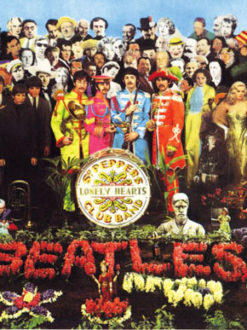 Sgt Pepper 1