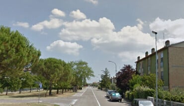Viadelpino