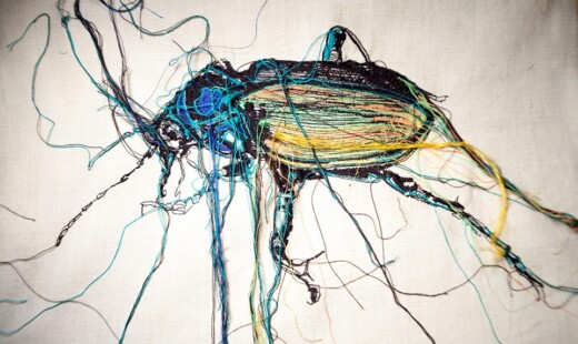 Calosoma Di Lucia Nanni