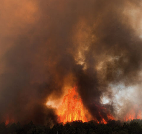 Incendio 127686