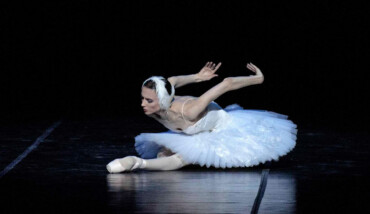 La Morte Del Cigno P#9D090E