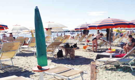 Overbeach Cani
