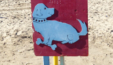 Overbeach Dog 