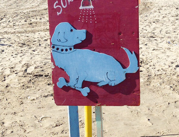 Overbeach Dog