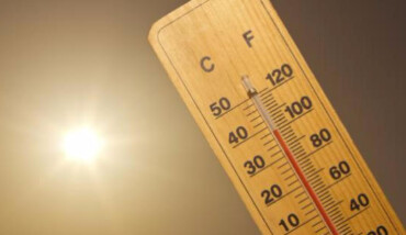 Caldo