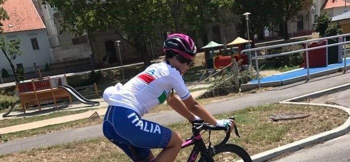 Collinelli Vetrina