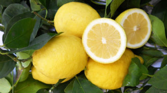 Limoni 1