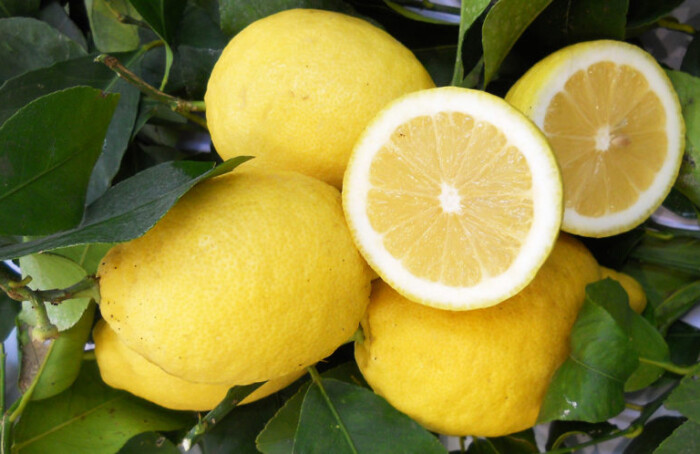 Limoni 1