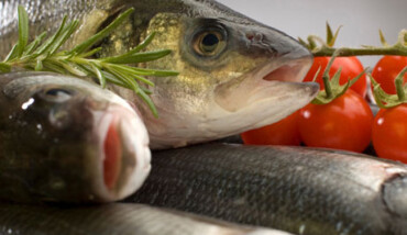 Pesce
