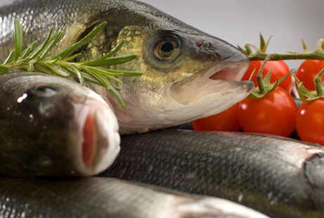 Pesce