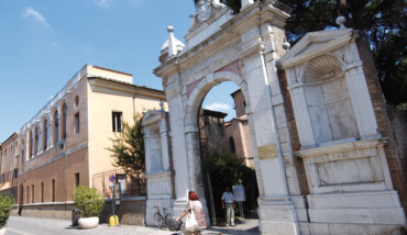 Vitale