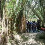 RAVENNA 05/08/17. CORPO DI UNA PERSONA DI CIRCA 50 ANNI IN AVANZATO STATO DI DECOMPOSIZIONE TROVATO DA 3 PESCATORI NEI FIUMI UNITI