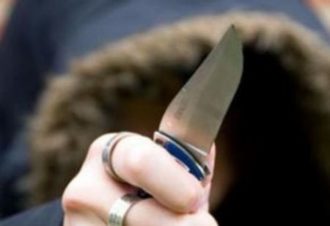 Criminalita Minorile Immigrazione