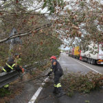 La Romea chiusa per gli alberi caduti