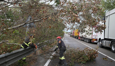La Romea chiusa per gli alberi caduti