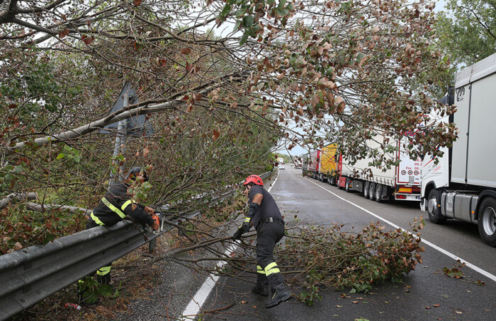La Romea chiusa per gli alberi caduti